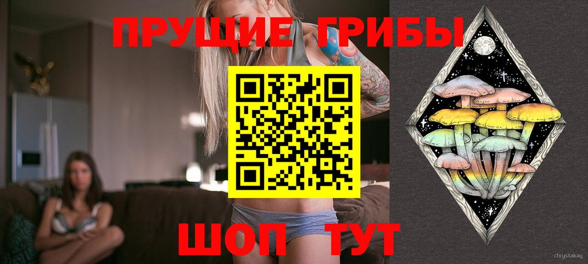Галлюциногенные грибы ЛСД  Вход с VPN  Прокопьевск  Псилоцибиновые грибы Cubensis 